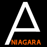 Amputee Coalition of Niagara